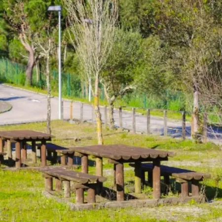 Avec Terrasse A - Api-1-52-1797 Camping Coímbra
